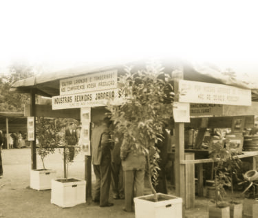 1938